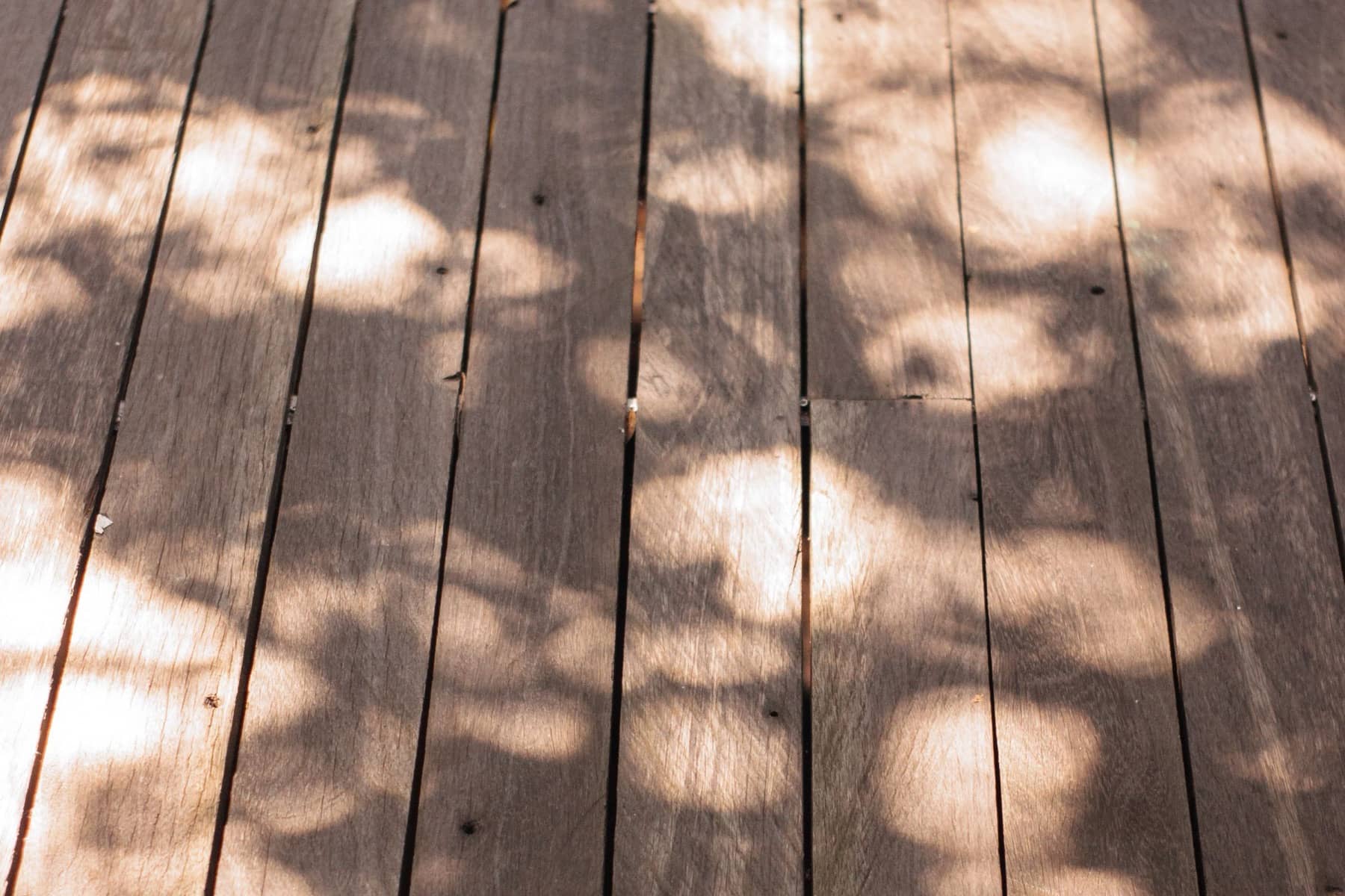 Close view of wooden deck boards with visible fasteners in the gaps and dappled leaf shadows, Charleston area
